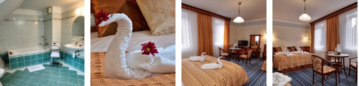 Obrázek - Spa & Wellness Hotel Harmonie - Velká Hleďsebe